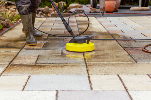 Best Fence Cleaning and Maintenance in Plum Grove, TX